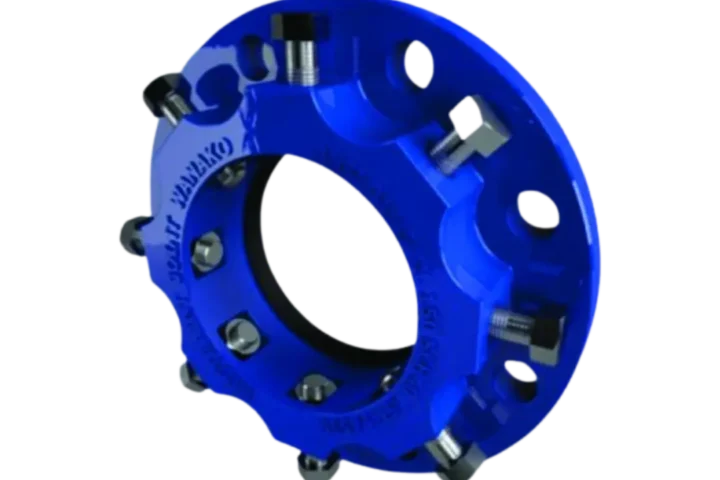 Maxiram Serie 381